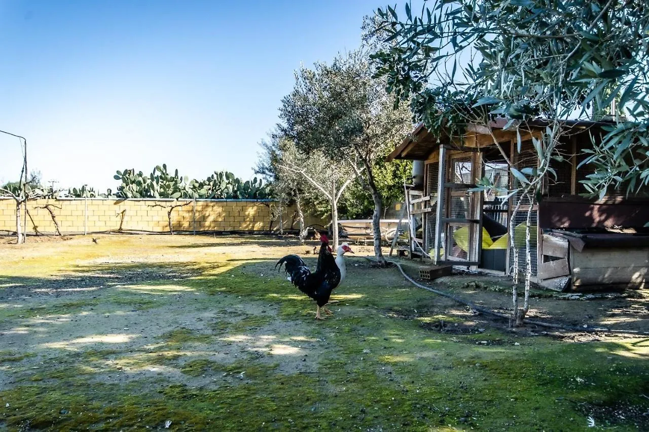 ヴィラ Reel Paradise Villa, Cyprus ラルナカ