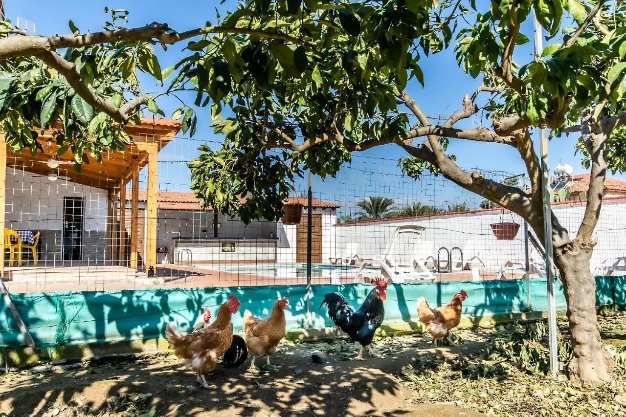 ヴィラ Reel Paradise Villa, Cyprus ラルナカ