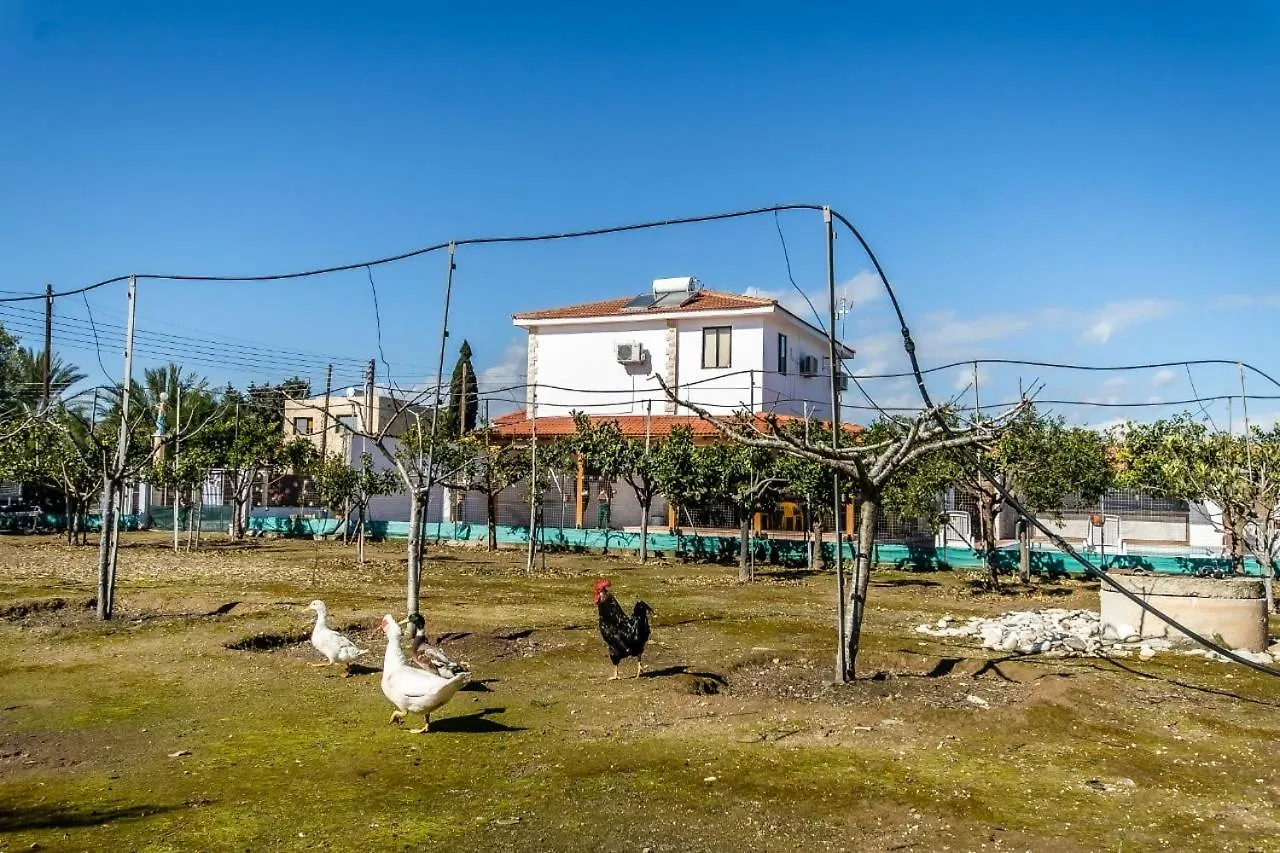 Reel Paradise Villa, Cyprus Larnaca 0*,  Cyprus